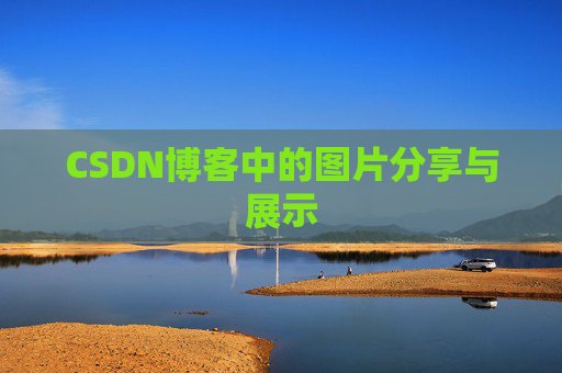 CSDN博客中的图片分享与展示